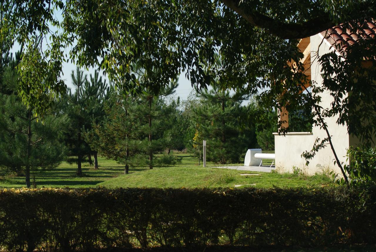 Chateau De Grenier Panzió Saint-Léger Kültér fotó